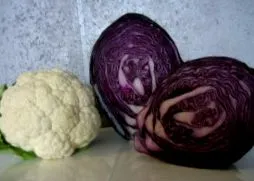 k-vitală