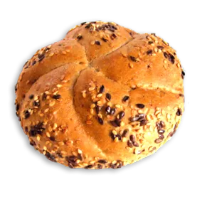 фибрите фибрите