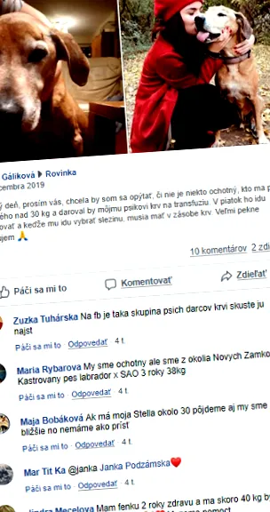вашето може