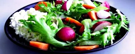 vegetarianismul vegetarianismul