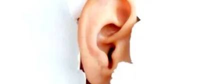създали