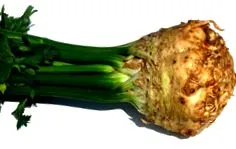 хранене