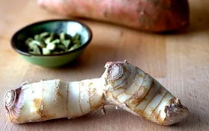 curcuma curcuma