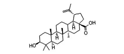 acid acid