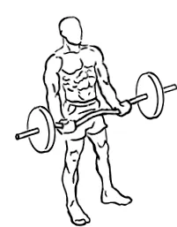 exerciții cele