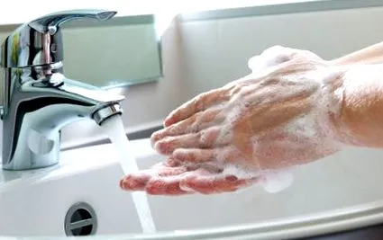 staphylococcus предаване