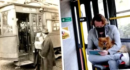 compară timpul