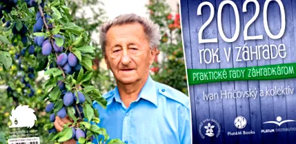 culisele grădină