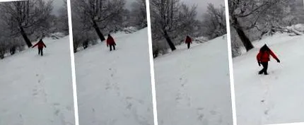 зимен