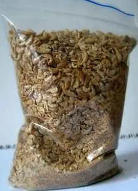 kŕmenie