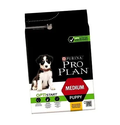 shop petvet