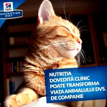 diétás