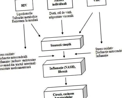 метаболичкиот