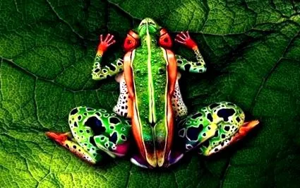 които които