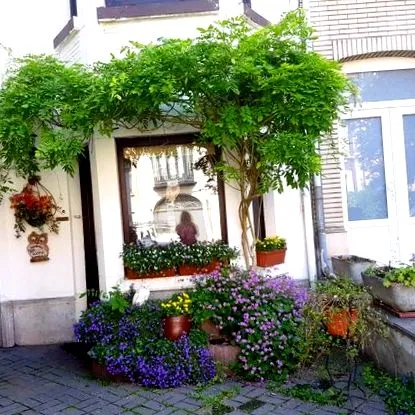 belgium élete