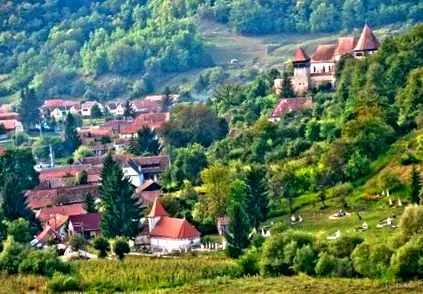 knihami