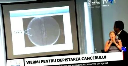 óceáni férgek