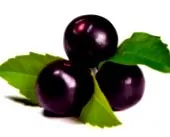 berry