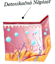detoxifiere