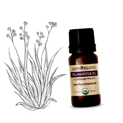 patchouli zdravko-eshop