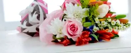 alegeți gerbera