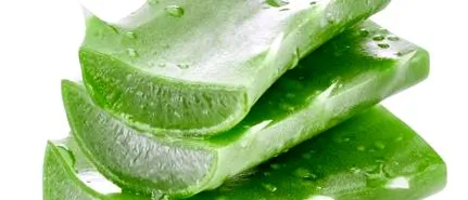 antioxidáns vera