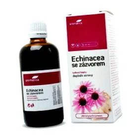 ехинацея