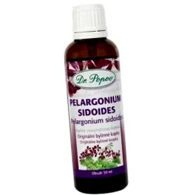 sidoides pelargonium