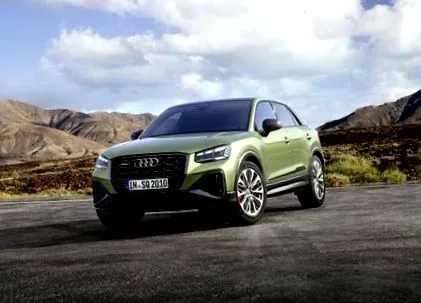 Ceaiuri plante audi