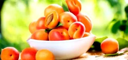 vitamina