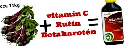 sfeclă