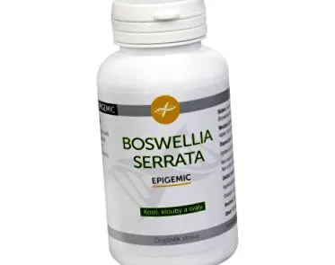 serrata epigemic