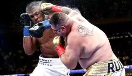 joshua boxerul
