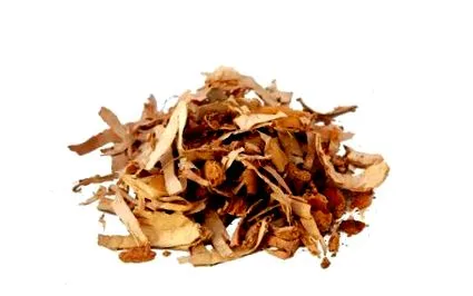 mesteacăn peste