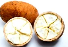 asupra cupuacu
