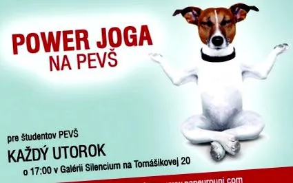 pan-europeană pan-europeană