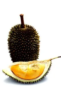 durian durian