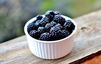 vitamina