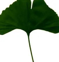 Vivat Natura vivat
