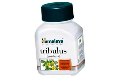 himalaya