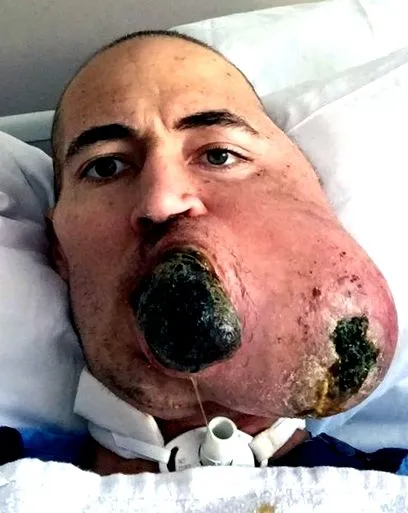 jóképű