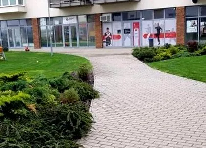 această recenzie