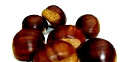 pentru castanul