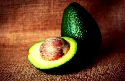 avocado