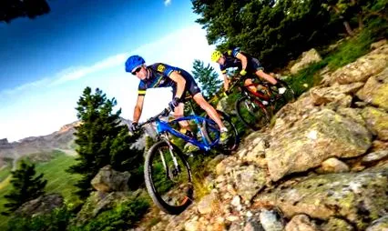 bike alegi