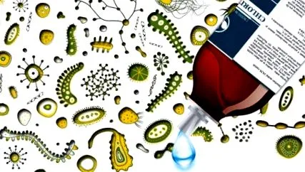 cdsmms bacterii