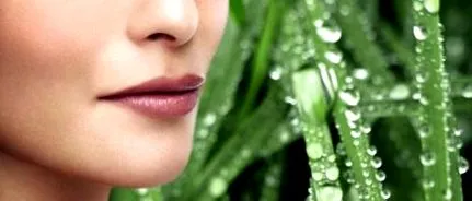 detoxifiere