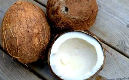 cocos