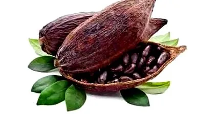 beneficii extractului