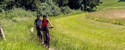 electrică bicicletă